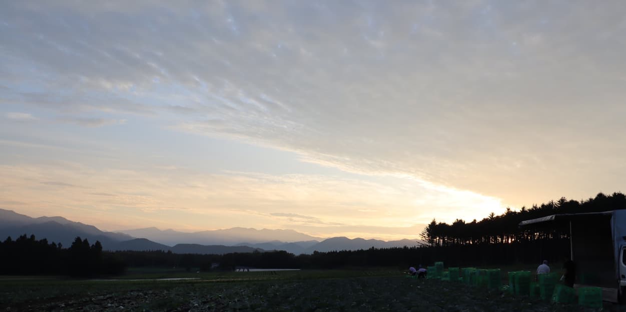 昭和村 吉野農園の朝焼け