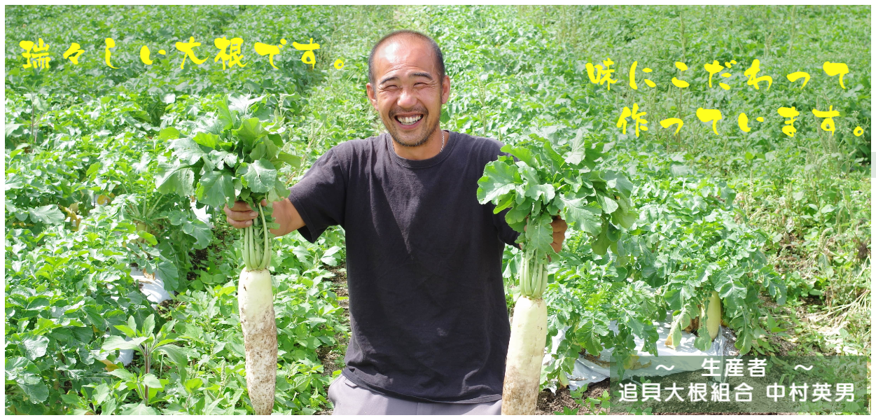 追貝大根組合 中村英男さん