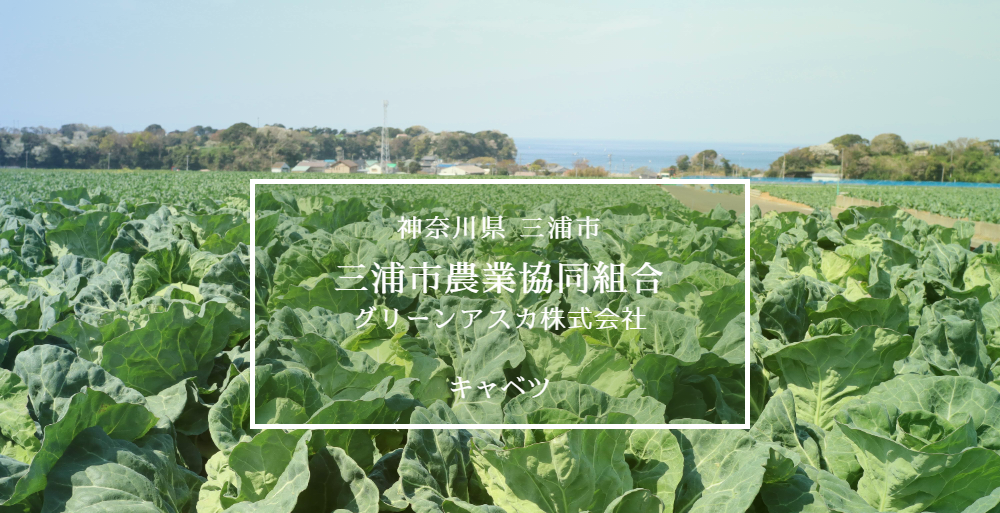 神奈川県　三浦市農業協同組合