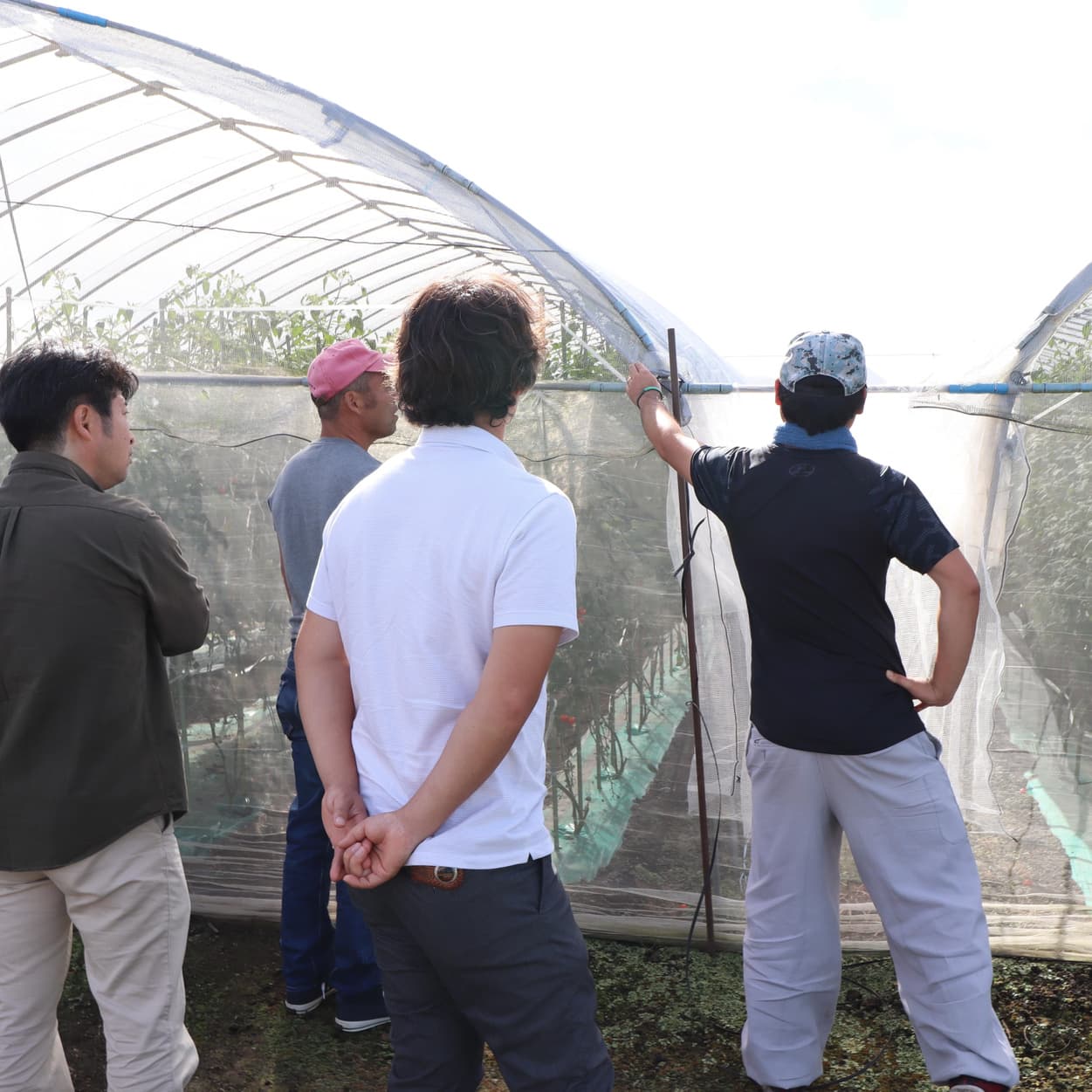 産地交流会 加藤農園