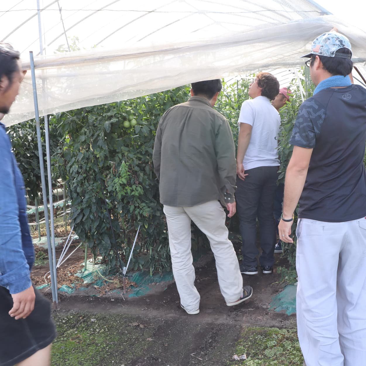 産地交流会 加藤農園