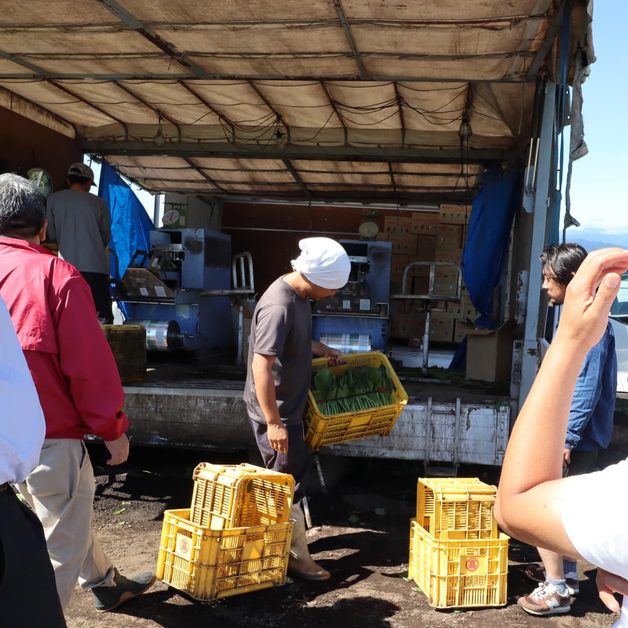 産地交流会 角田農園