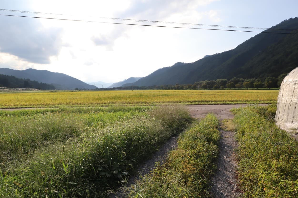 三瓶さんの圃場周辺