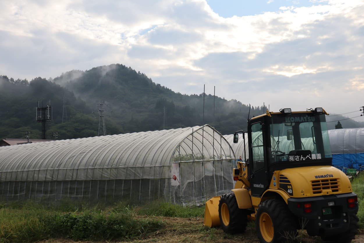 朝霧の三瓶農園ハウス