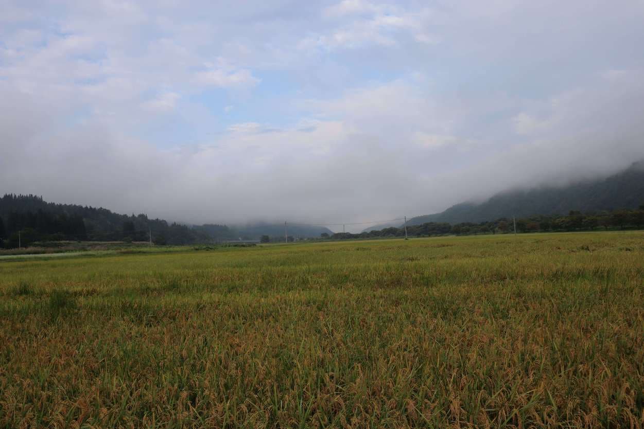 朝霧の三瓶農園周辺