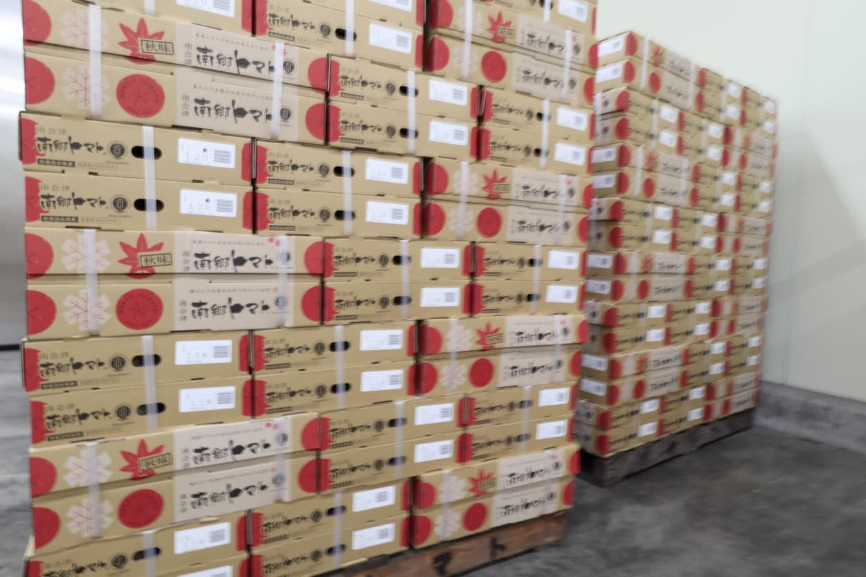 南郷トマト選果場 予冷庫のトマト