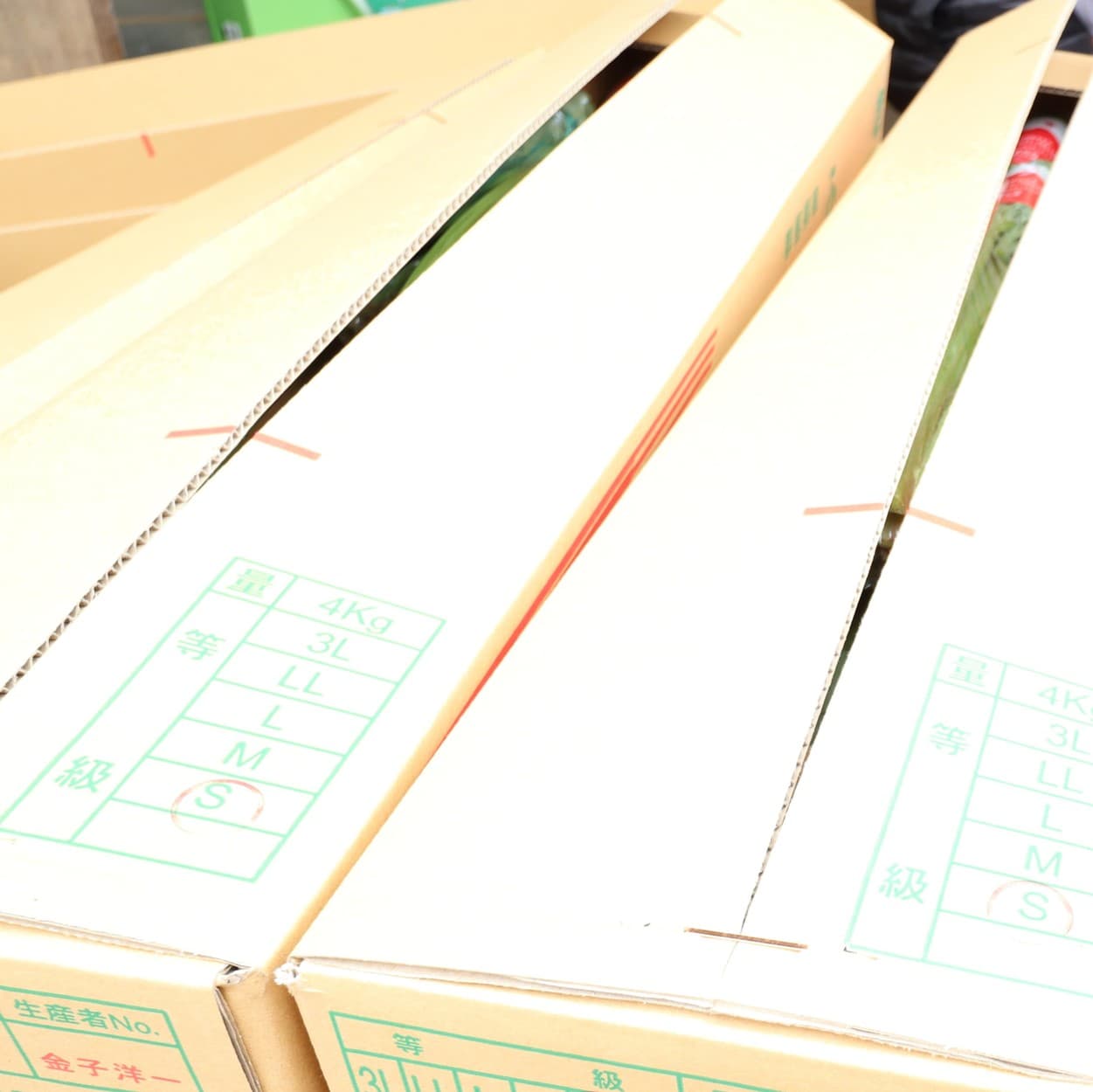 金子農園 ふきの箱