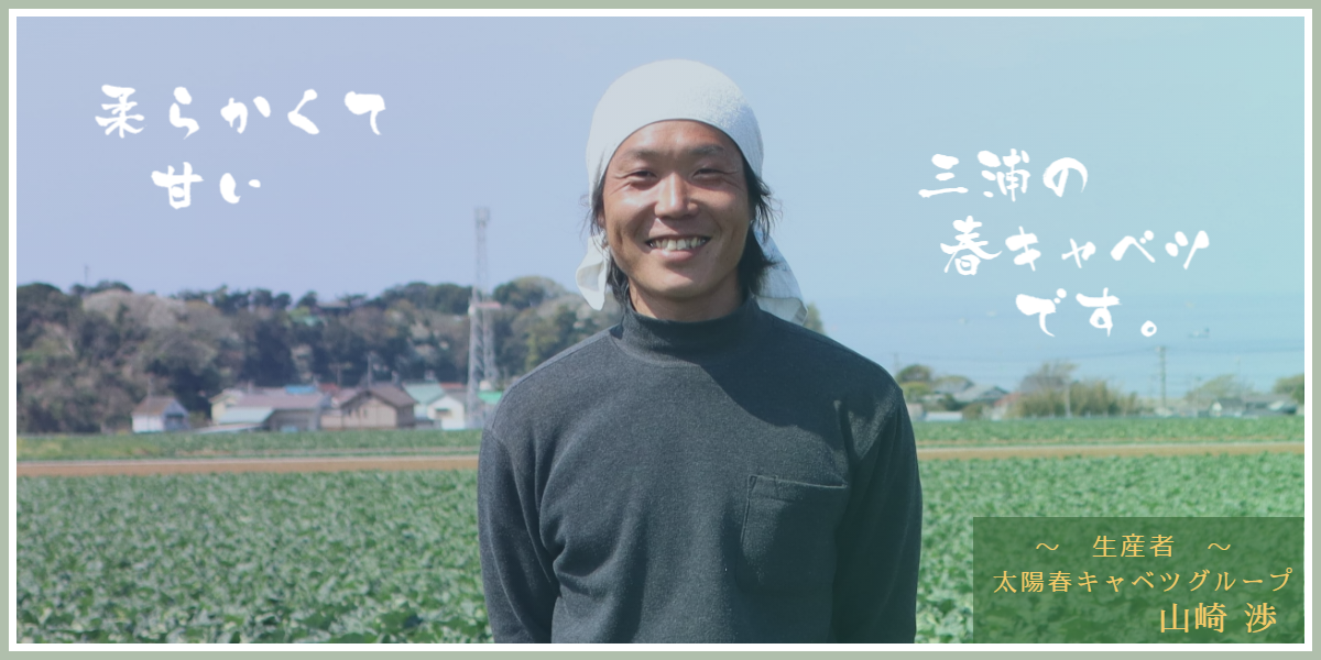 太陽春キャベツグループ 山崎渉