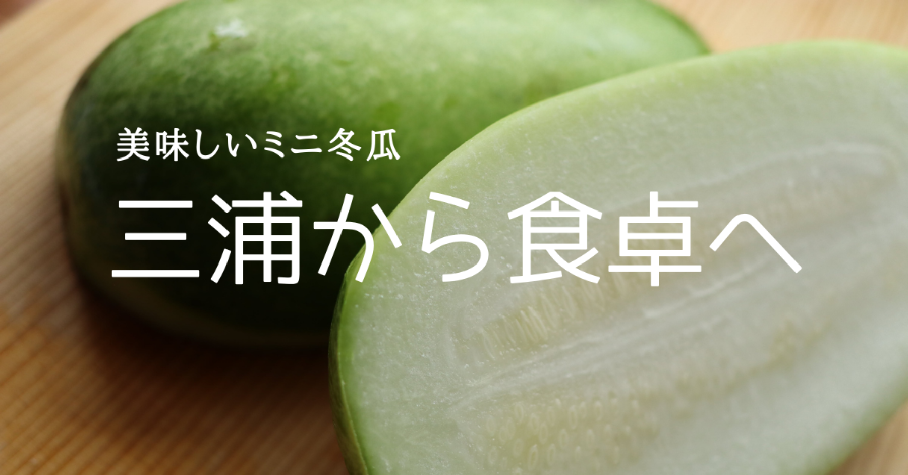 三浦市農協 ミニ冬瓜