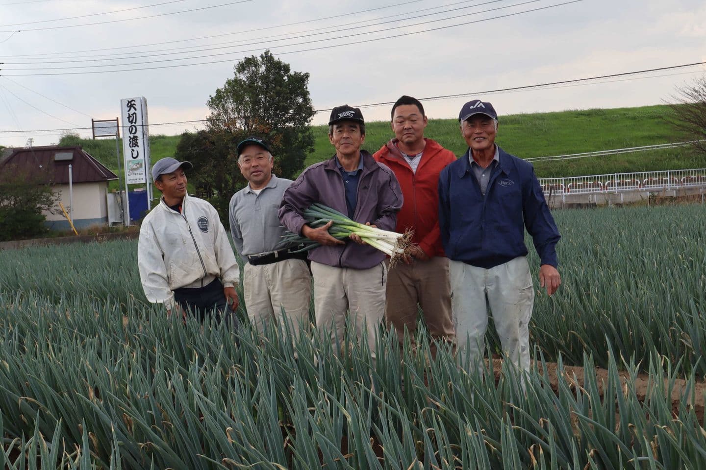 矢切ねぎ 生産者さん