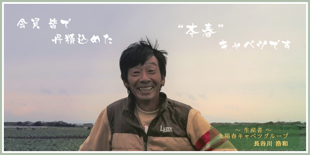 太陽春キャベツグループ 長谷川浩和